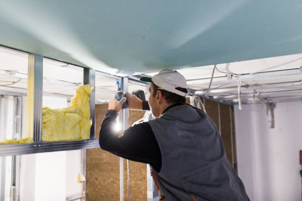 Best Spray Foam Insulation in Pearl, MS