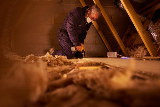 Best Commercial Insulation in Pearl, MS